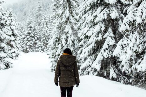 Conciërge tevredenheid Geestelijk 4 dingen die de winter ons kan leren - Happinez