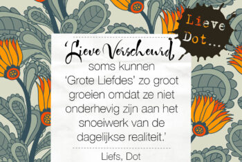 Lieve Dot: advies aan Verscheurd