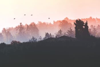 Zo gebruik je de natuur om je dag goed te beginnen