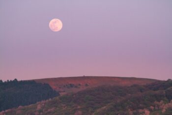 Volle maan in Stier