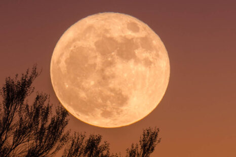 Op 28 oktober 2023 is het volle maan met maansverduistering