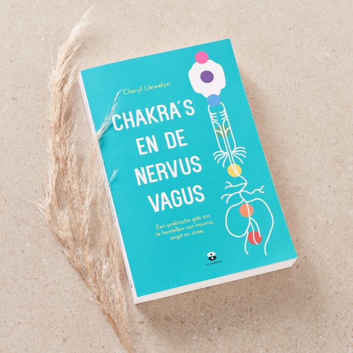 Boek Chakra’s en de nervus vagus