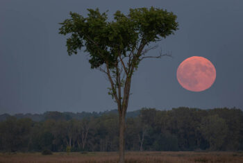 De volle maan van 17 oktober 2024 kan aardig pittig worden